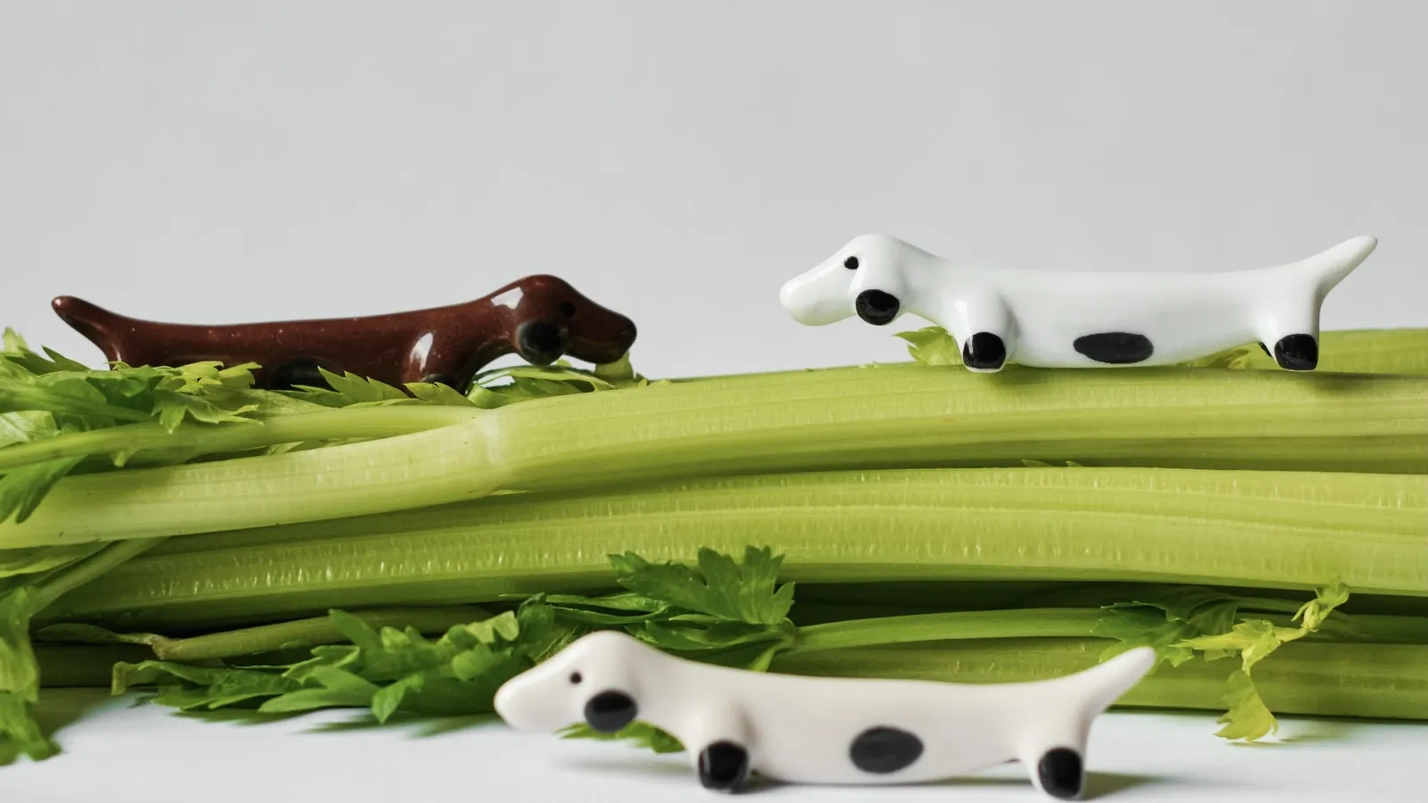 Kalabasa home collection (2).webp