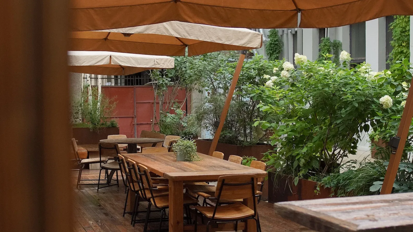 Radio_Veranda (3).webp