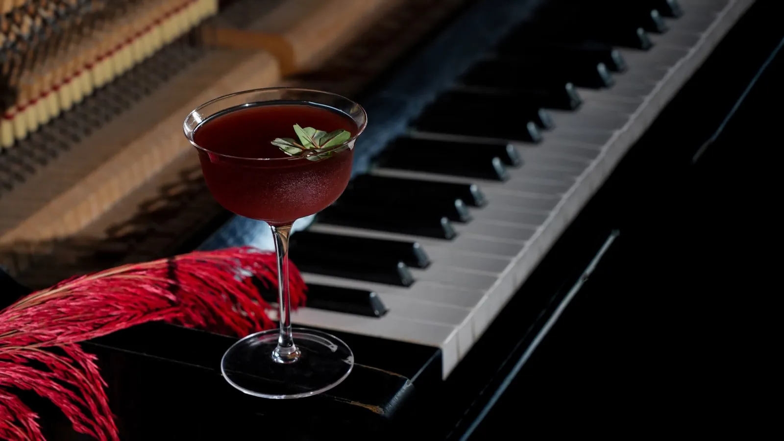 Wild Adonis_Kenan's Menu_the Nest.webp