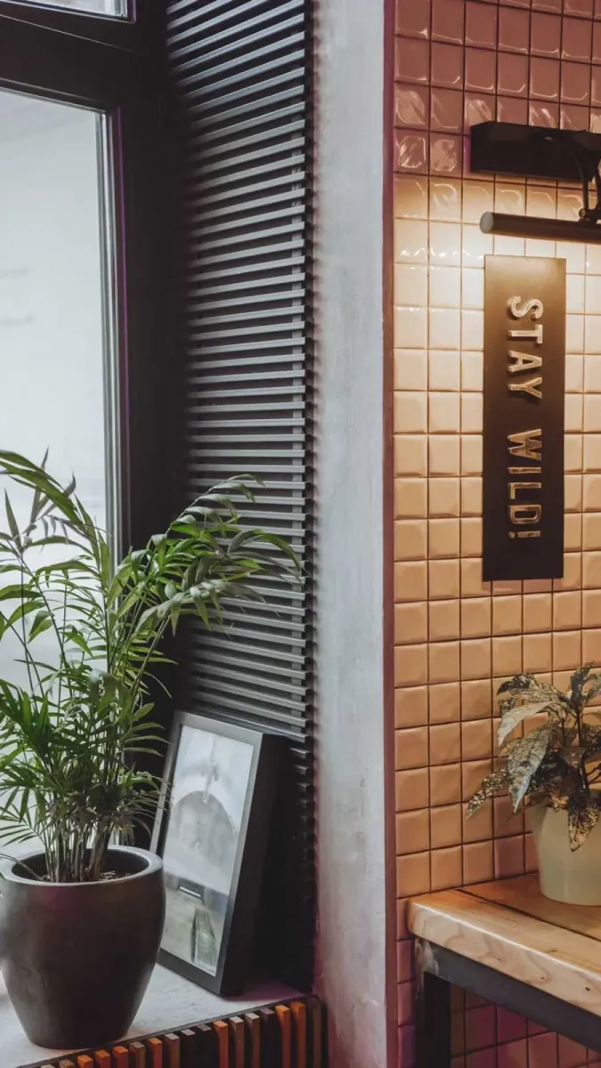 Surf Coffee X Muses photo 1