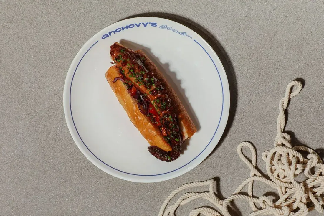 Anchovy-68.webp