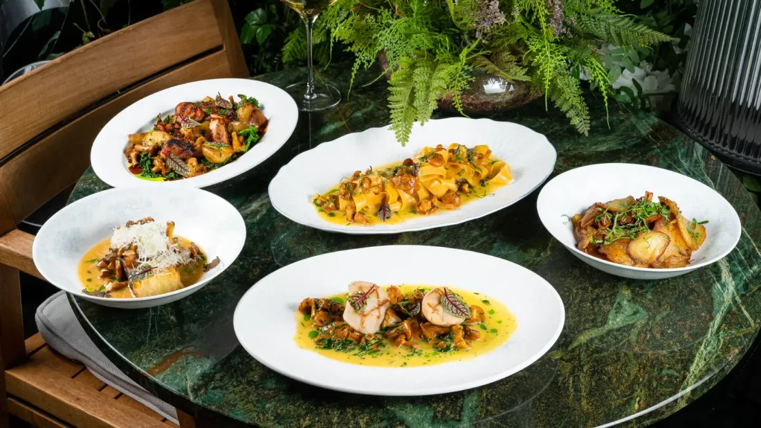 Summer Dishes with Chanterelles at BURO. TSUM.