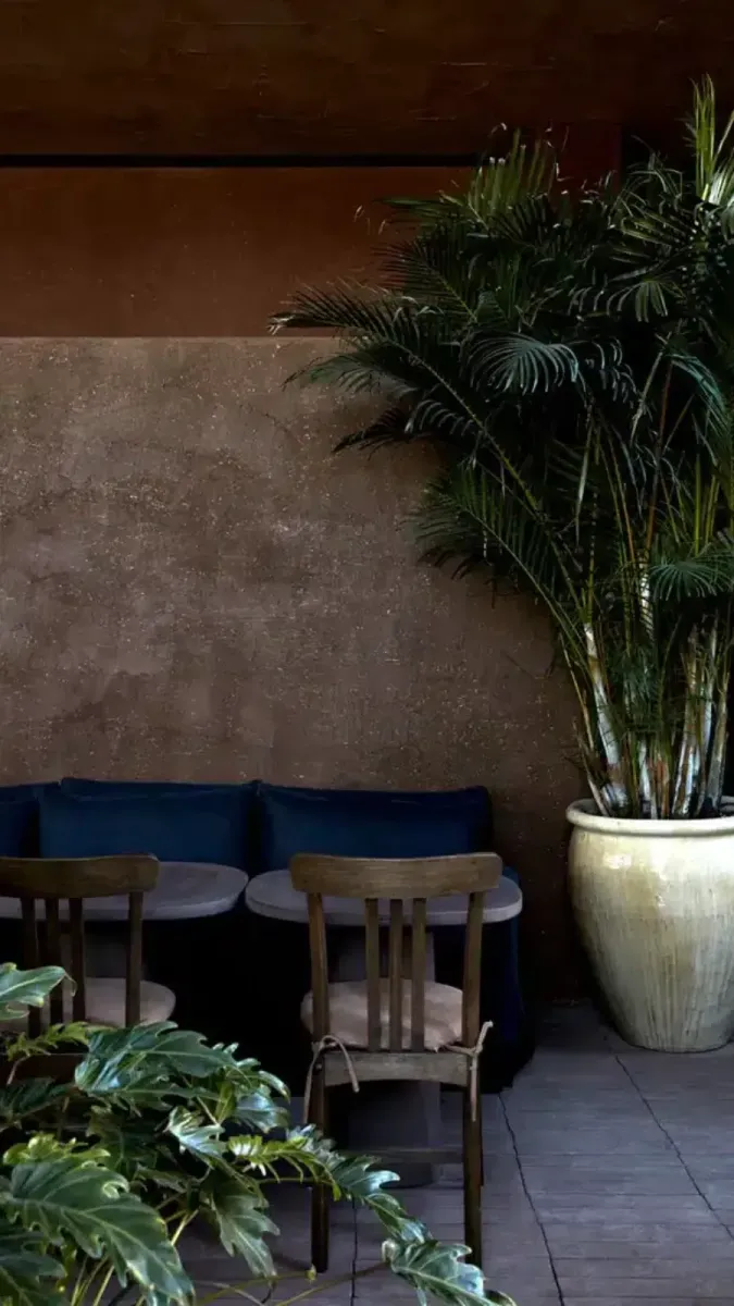 Terra Eatery photo 2