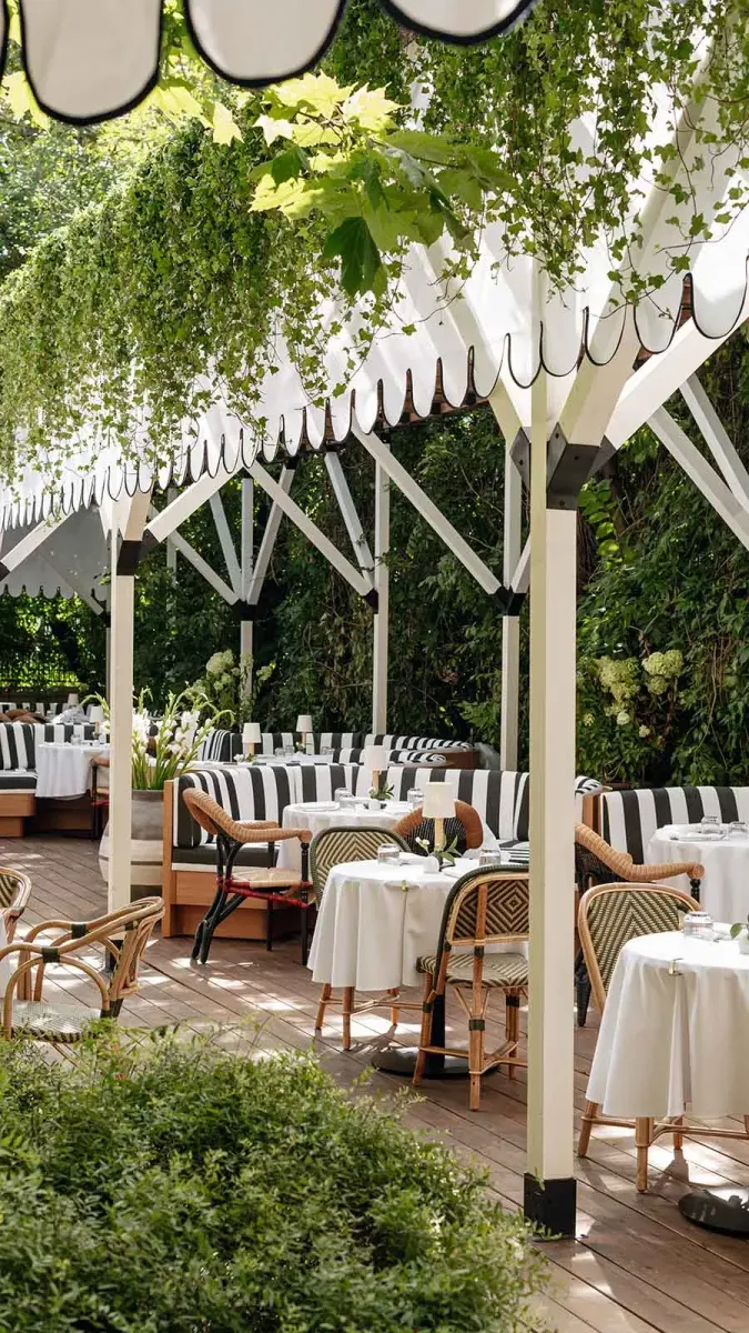 Yudashkin Sad  photo 3