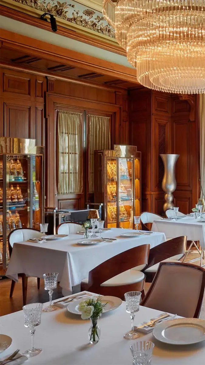 Белуга photo 3