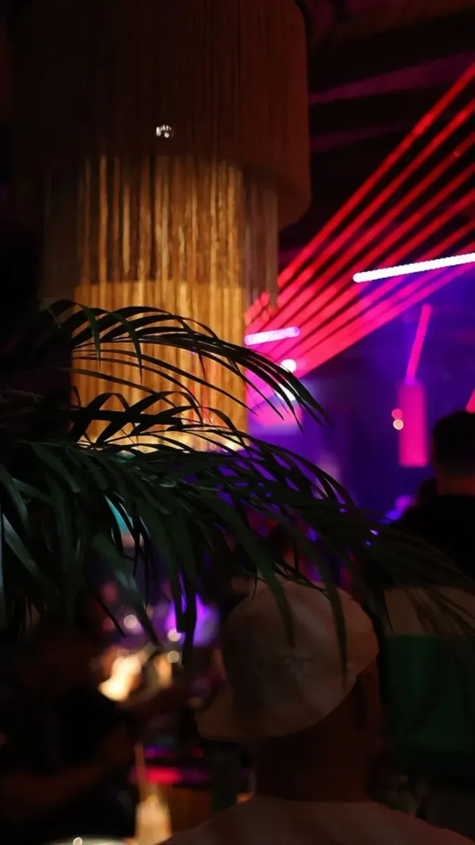 Rekki Collection photo 2