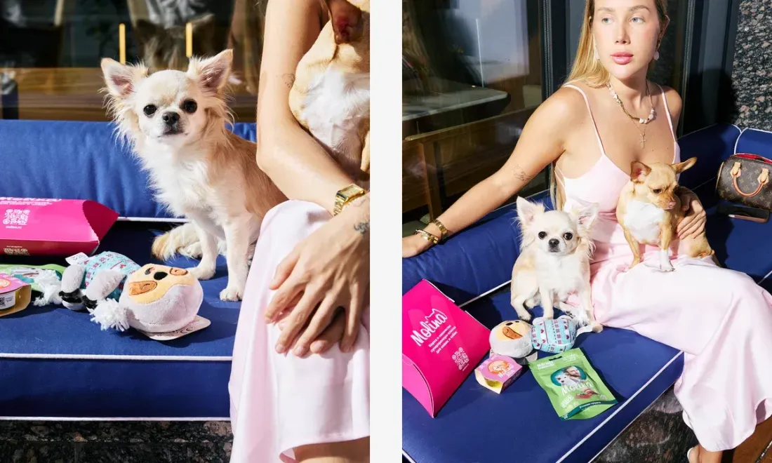 Dog-friendly бокс Molina в ресторанах Atlantica и Atlantica Bistro