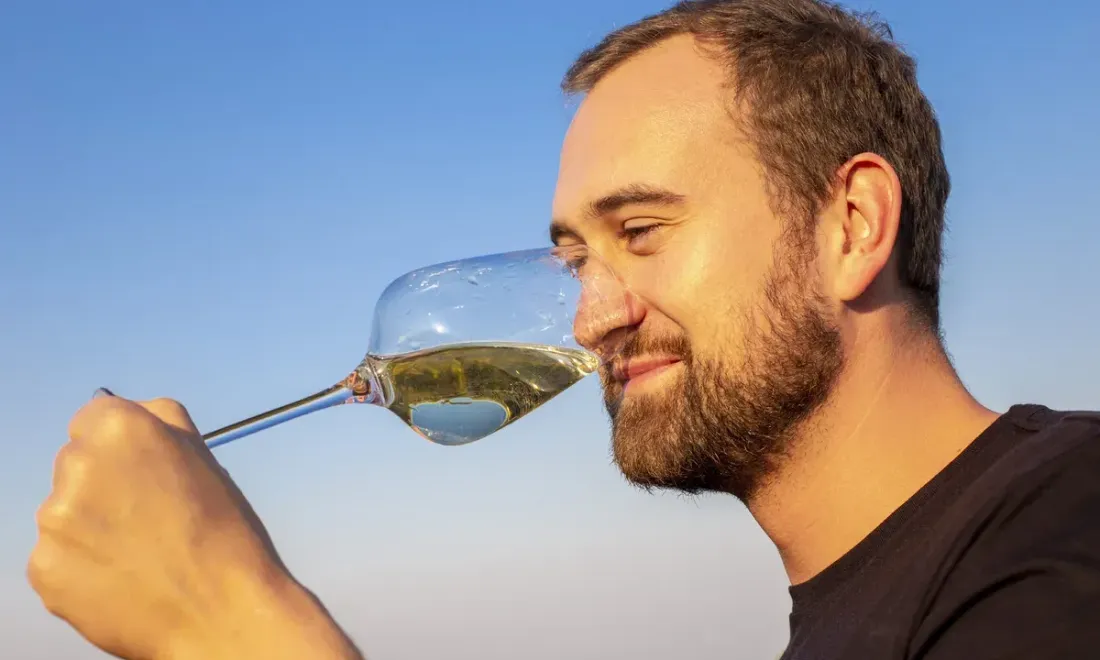 Вино Nikolaev&Sons для ужина в Zio Vini