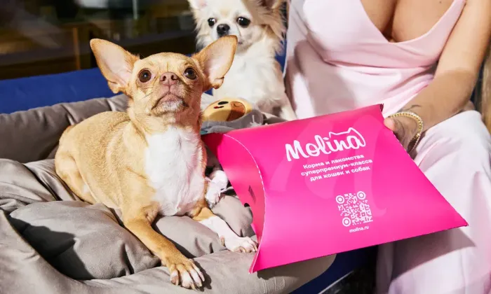 Atlantica и Molina запустили dog-friendly коллаборацию