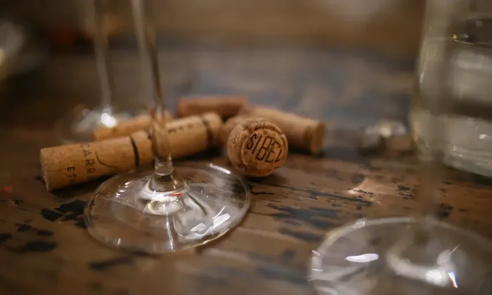 FITZ Club проведёт дегустацию о времени в Barbaresco