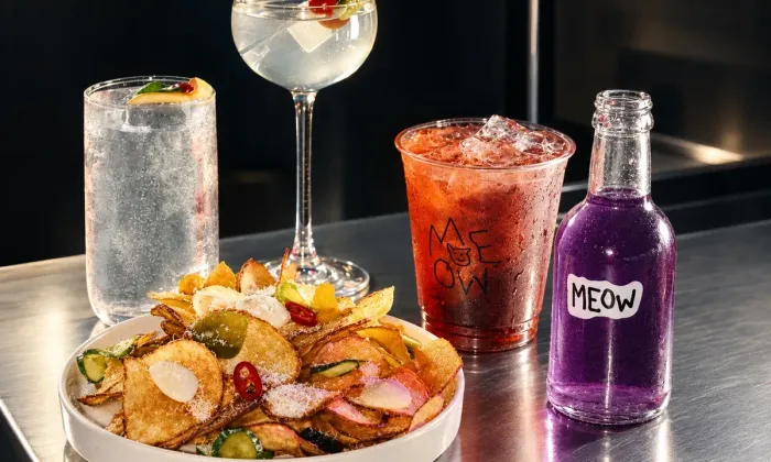 Meow Bar отмечает шесть лет домашней вечеринкой
