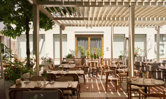 Share bistro открыл зелёный двор и добавил летние блюда