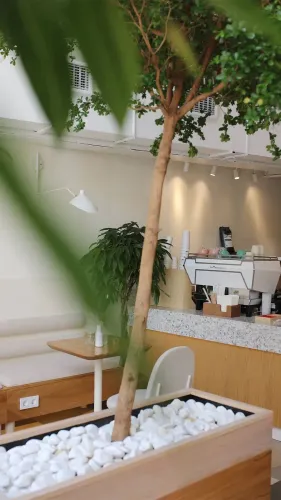 CS_1_f4749c9f0d.webp