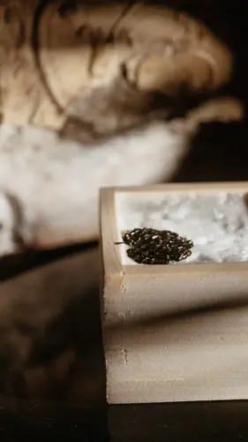 Screenshot 2024-12-25 at 12.45.42.webp