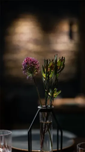 marmo_3_9443a5cc9c.webp