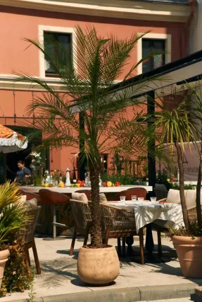 thetaste_juan-espanola-cantina-01.webp