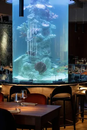 thetaste_saint-petersburg-sea-signora-03.webp