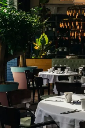 thetaste_tbilisi-cafe-stamba-cover.webp