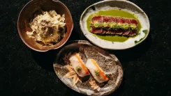 Обновленное Shun в Amber.