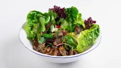 Весеннее сезонное меню со сморчками в ресторане Lesnoy.