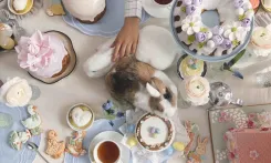 Пасхальная коллекция Ribambelle: куличи, краффины и пряничный домик