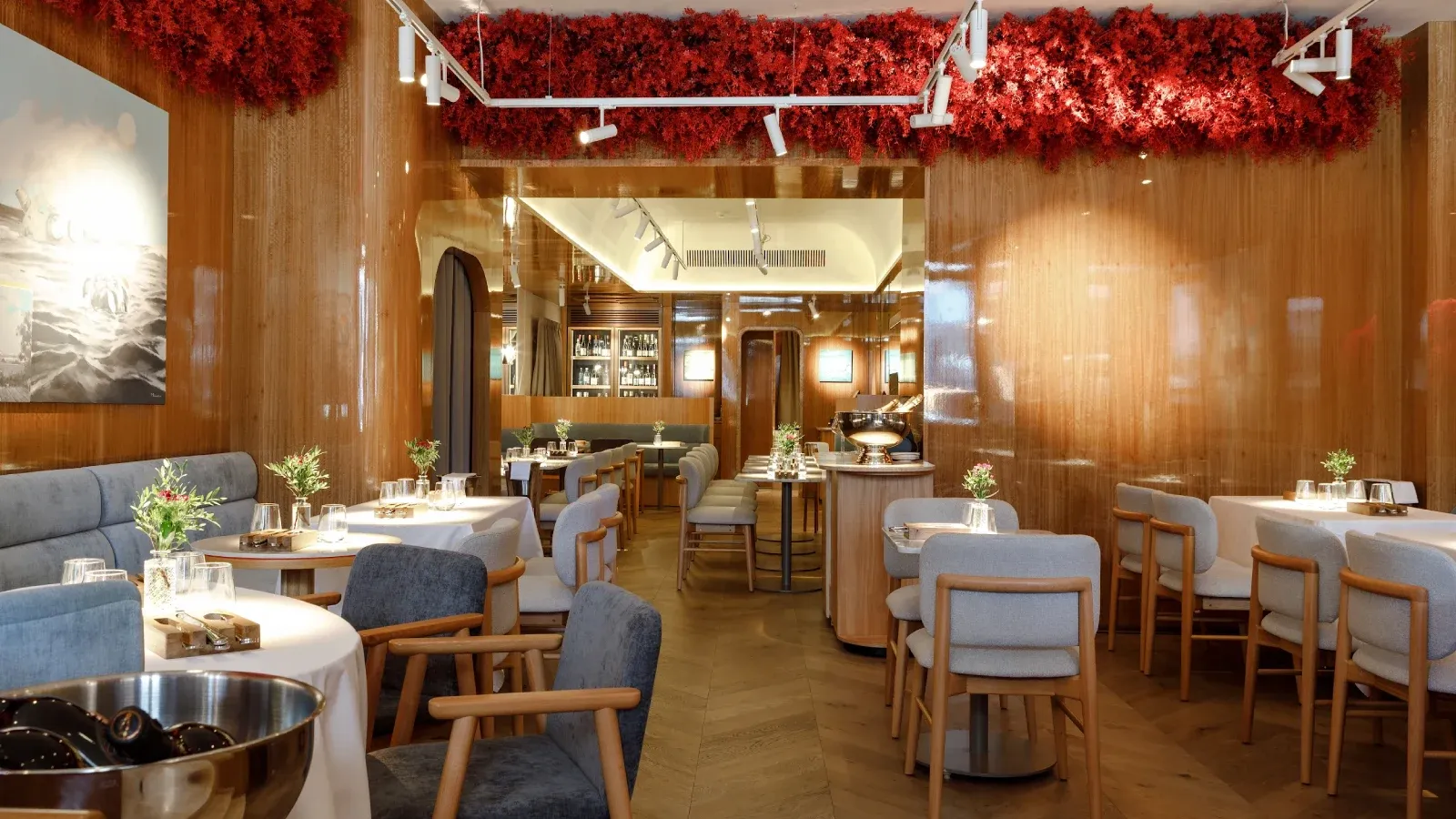 unnamed (16) (1).webp